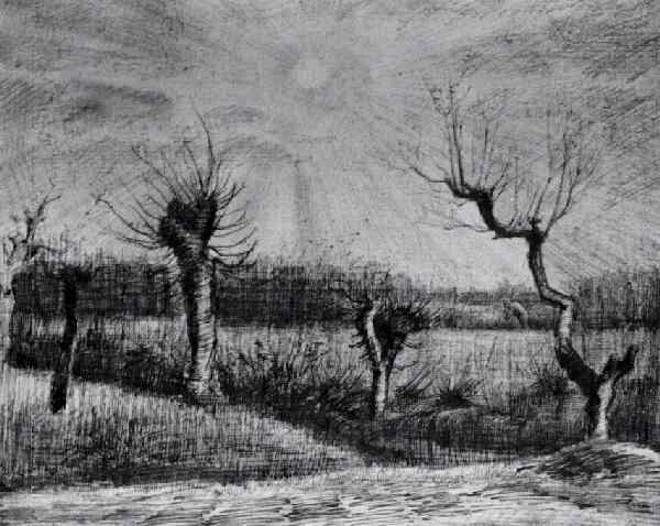 Vincent Van Gogh The Drawings