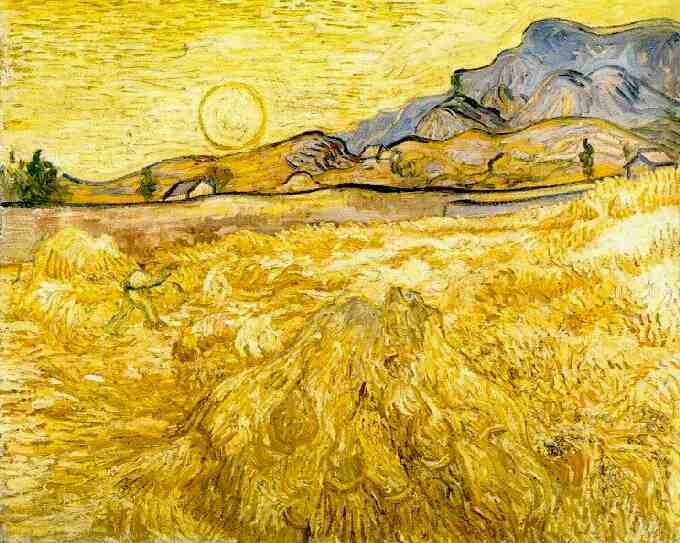 Image result for van gogh yellow wheat