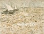 Boats at Sea, Saintes-Maries-de-la-Mer