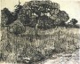 A Garden in the Place Lamartine (Weeping Tree in the Grass)