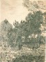 Pine Trees in the Walled Garden of the Asylum