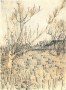 Orchard with Arles in the Background
