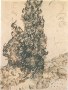 Cypresses