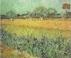 Click here to view the corresponding painting.