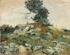Click here to view the corresponding painting.