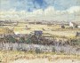 Harvest in Provence