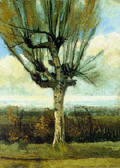 Click here to see 'The Willow'